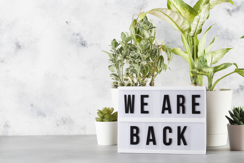 light box with text WE ARE BACK among the plants in pots marketing during the reopening phase