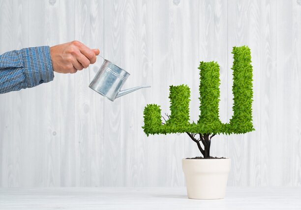 small business growth concept